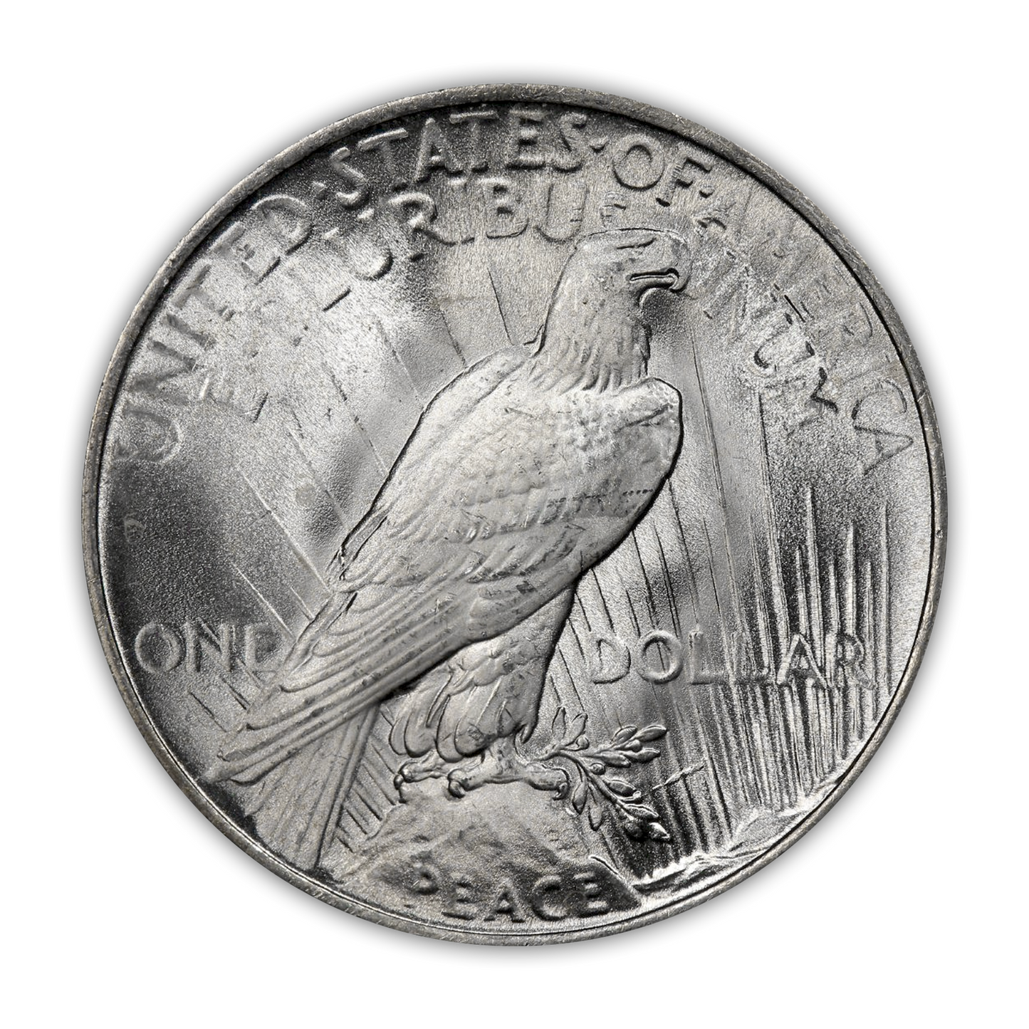 1924 Peace Silver Dollar Philadelphia - Brilliant Uncirculated - CoinsTV