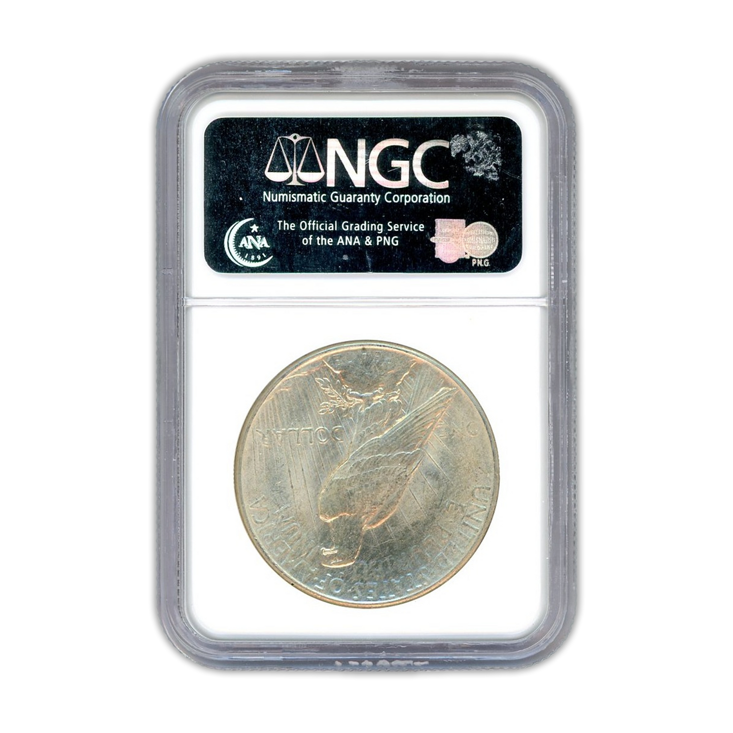 1925 Peace Silver Dollar Philadelphia - NGC MS64 - CoinsTV