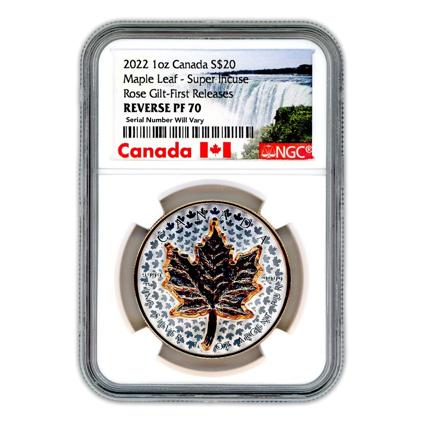 2022 1 Oz Maple Leaf Rose Gilt 1 Oz Silver - NGC Rev. PF70 First Releases