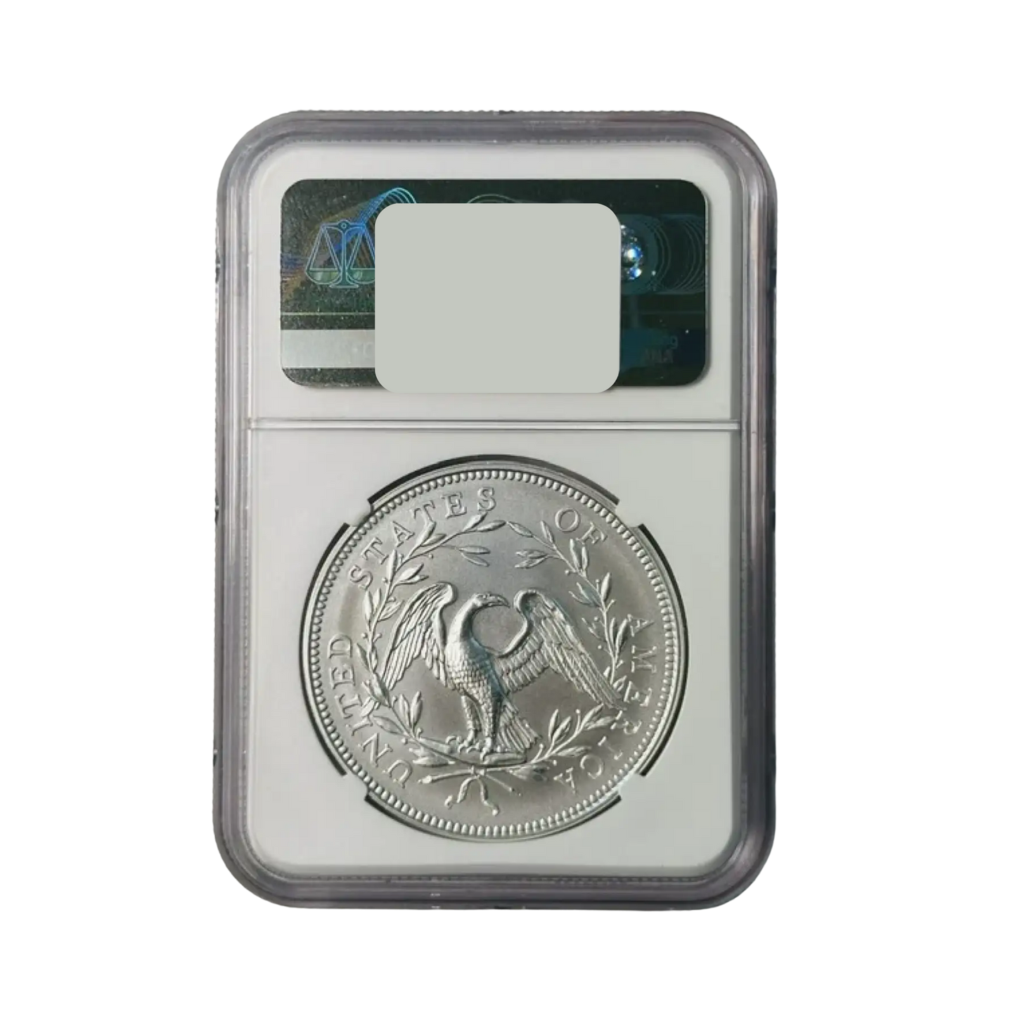 2024 Silver Flowing Hair 230th Anniversary Medal - NGC MS69
