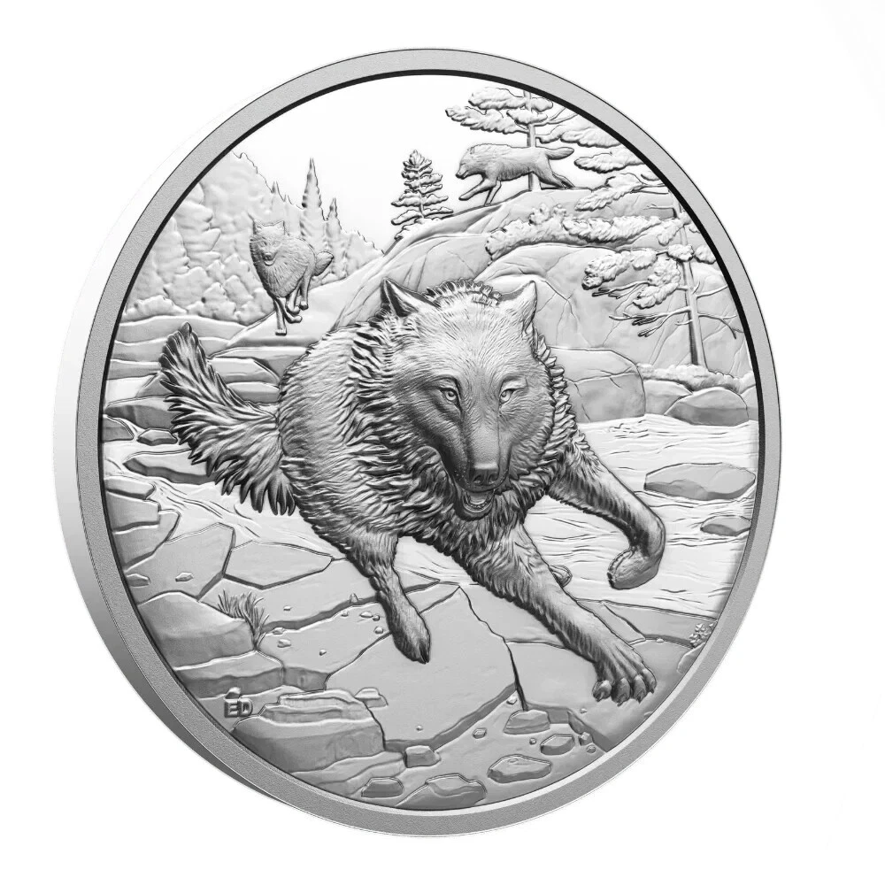 2025 Canada Great Hunters Grey Wolf UHR 1 oz Silver Coin - NGC PF70 UCAM FR - CoinsTV
