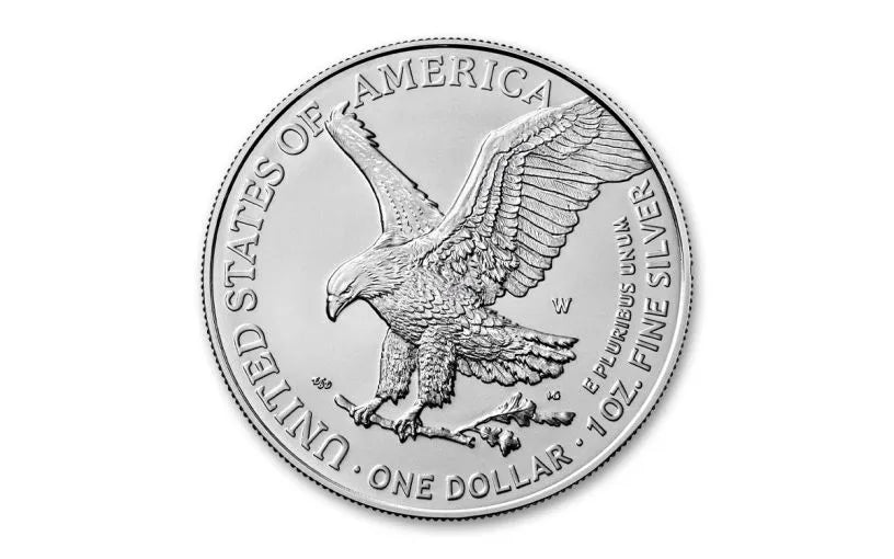 2024-W Burnished Silver Eagle - Brilliant Uncirculated