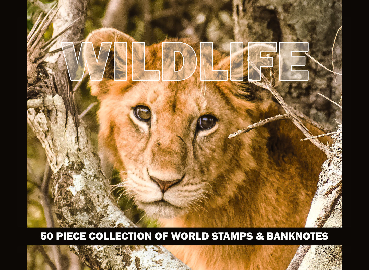Wildlife: 50 Piece Collection of World Stamps & Banknotes (Clear Box) - CoinsTV