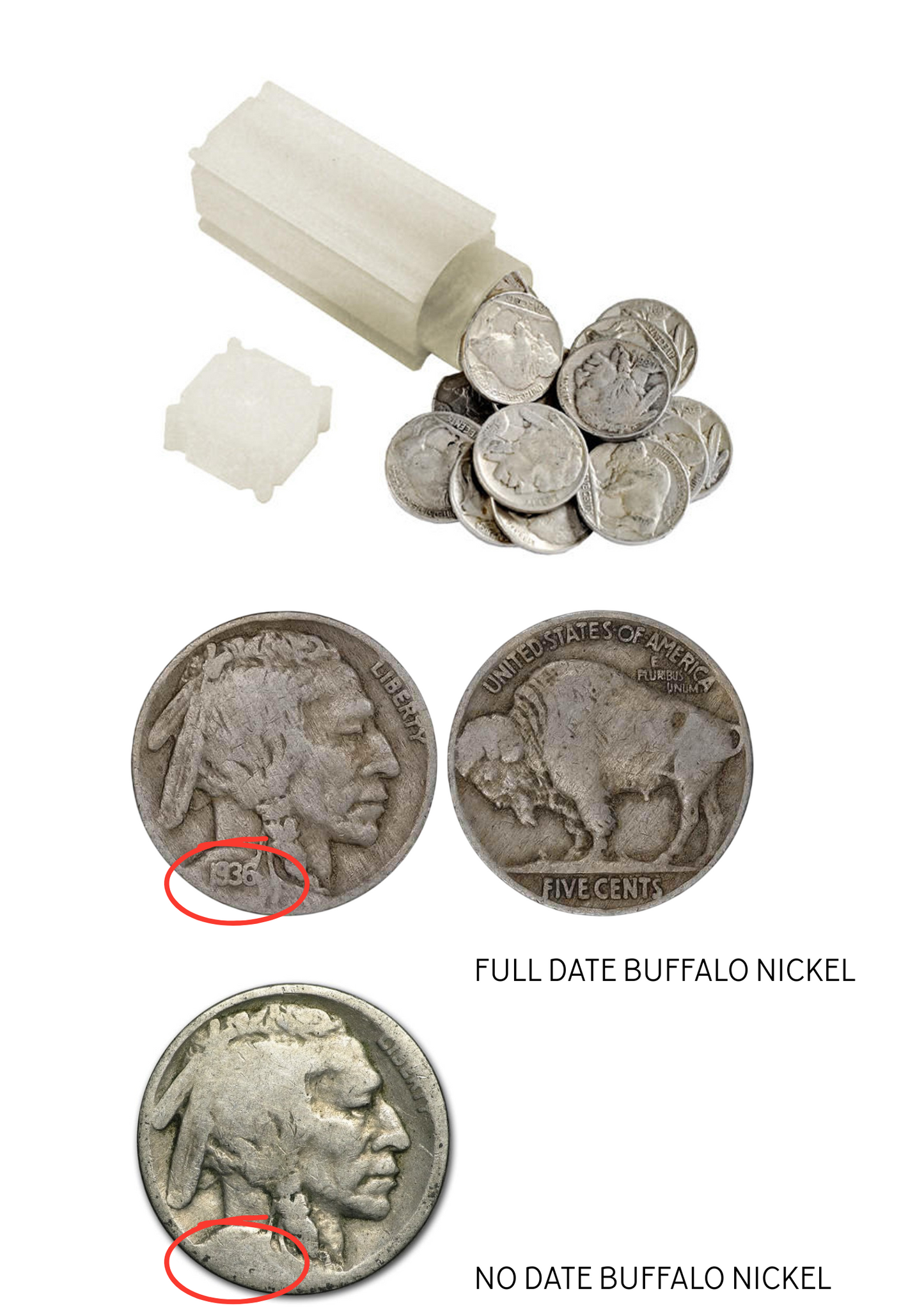 Vintage Buffalo Nickel - Full Date - Circulated Roll of 40 - CoinsTV