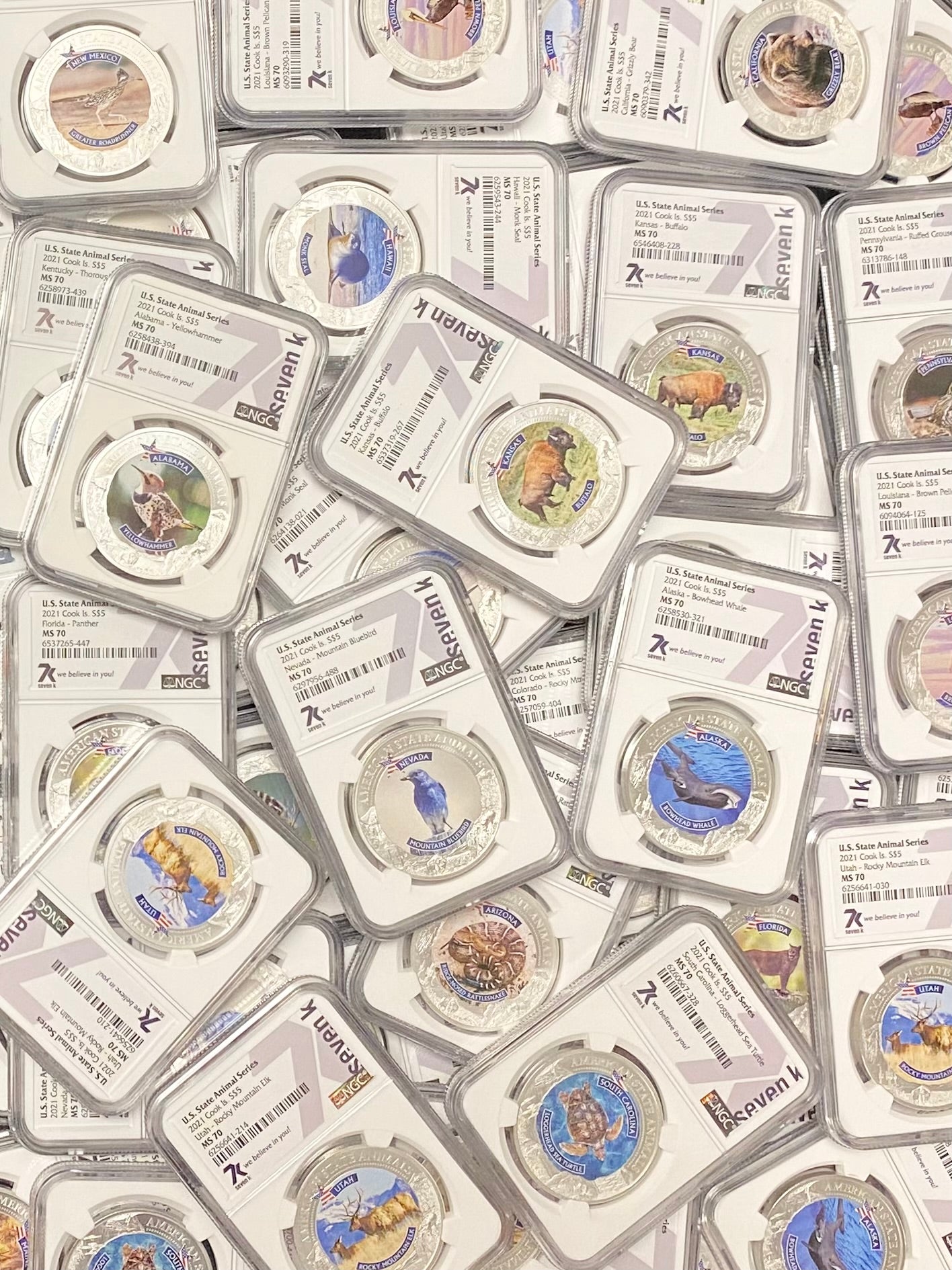 United States Animal Series Grab Bag - NGC MS70