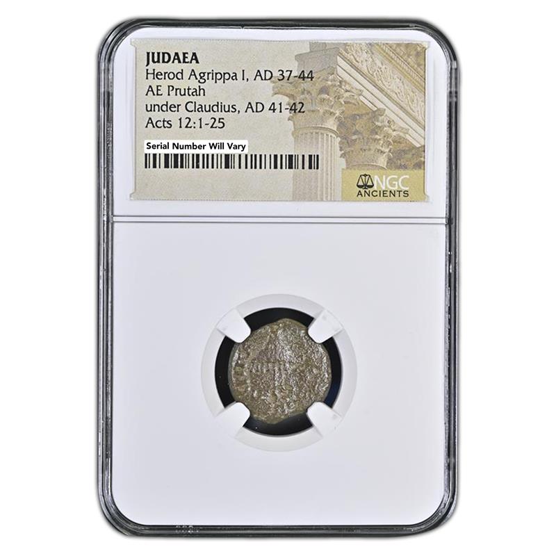 Judaea AE Agrippa 1st (AD 41-44) Prutah NGC(MG)