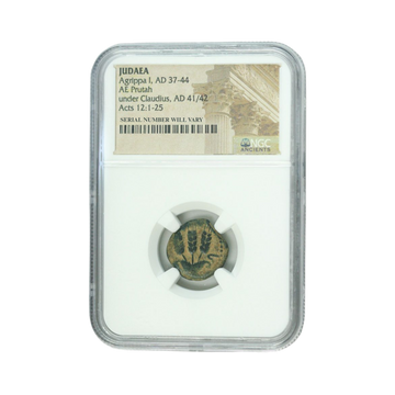 Ancient Roman Coin Judaea Agrippa AE Prutah 1st (AD 41-44) - NGC(HG)