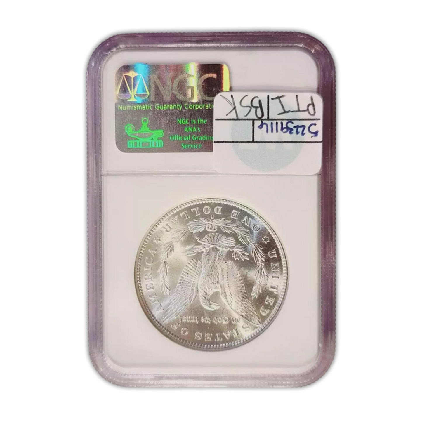 1891-S Morgan Silver Dollar San Francisco - NGC MS60 Sight White - CoinsTV