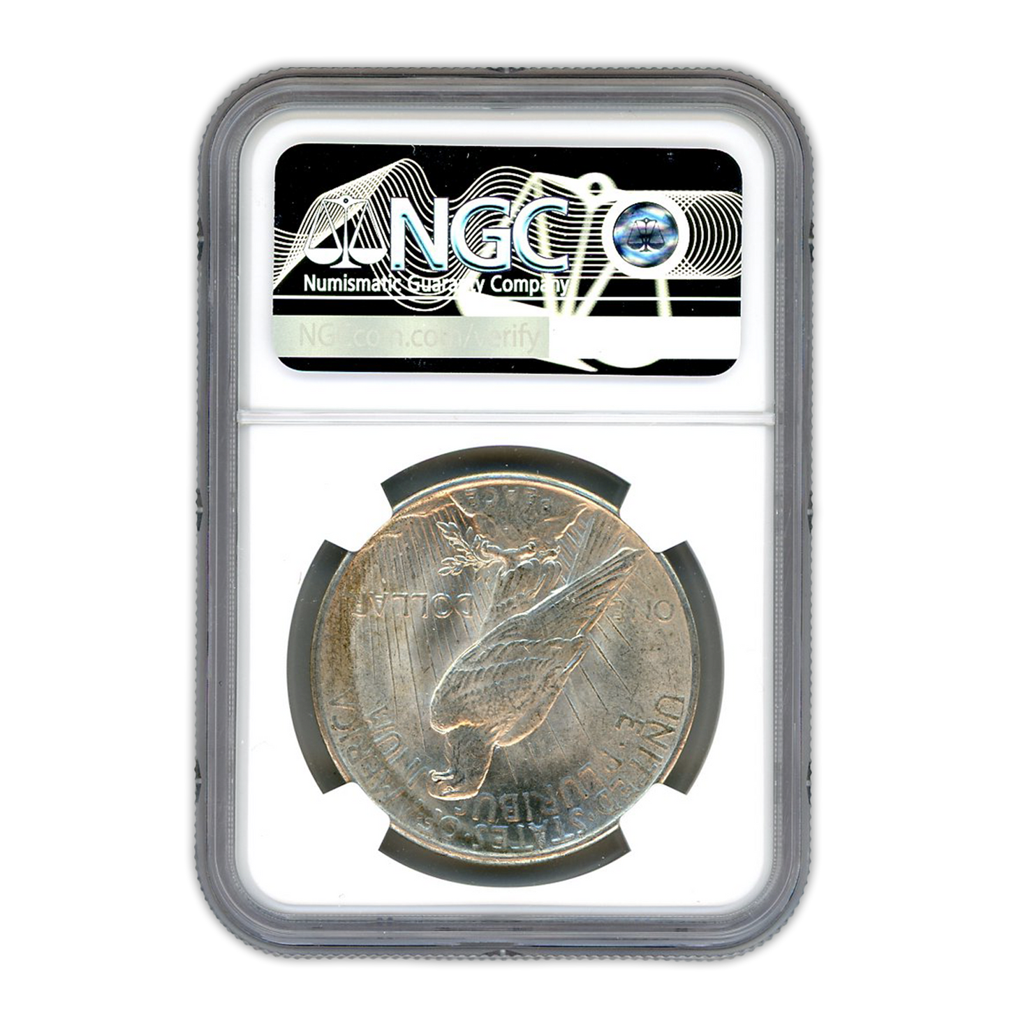 1925 Peace Silver Dollar - Morgan to Peace Dollar 100 Year Anniversary Label - NGC Brilliant Uncirculated