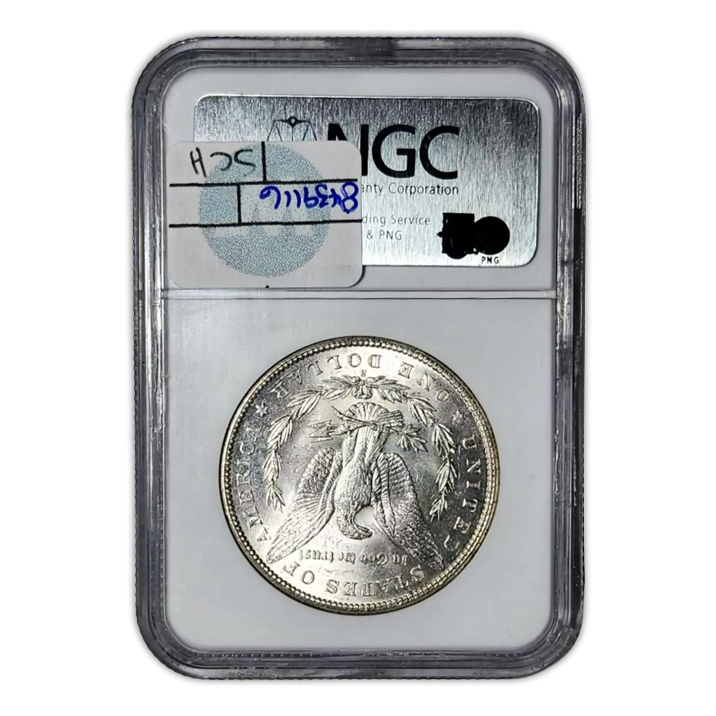 1900 S Morgan Silver Dollar - NGC MS62 Sight White - CoinsTV