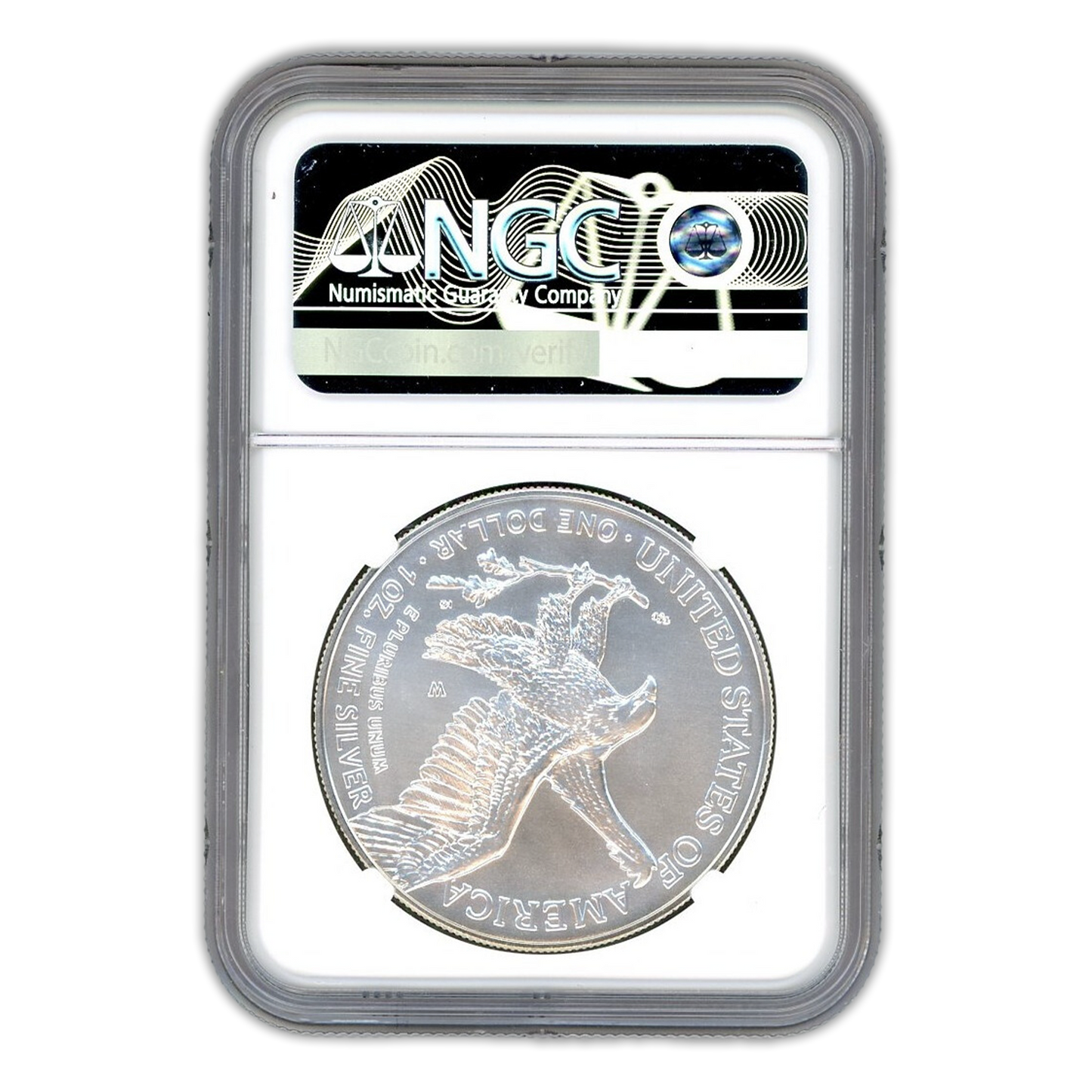 2023 W Silver Eagle Burnished - Early Releases - NGC MS70 Michael Gaudioso Signature Label