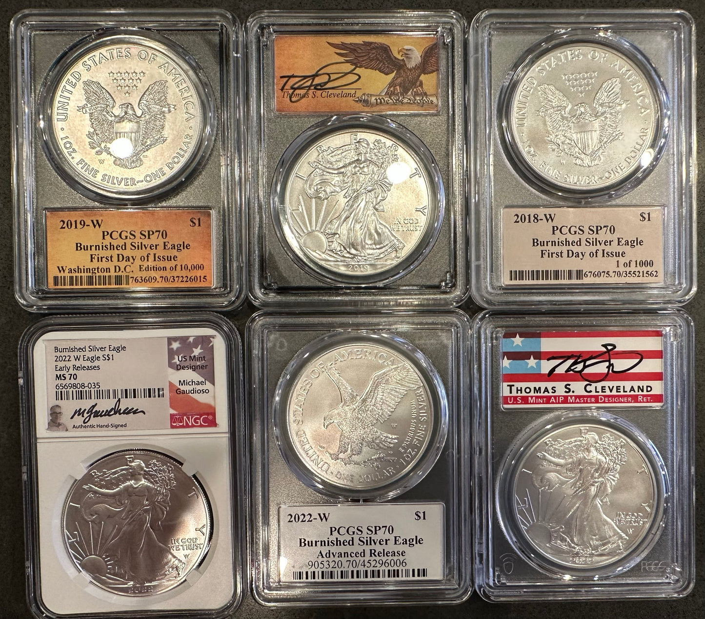 Silver Eagle Burnished Dollar Grab Bag - Perfect Grade 70