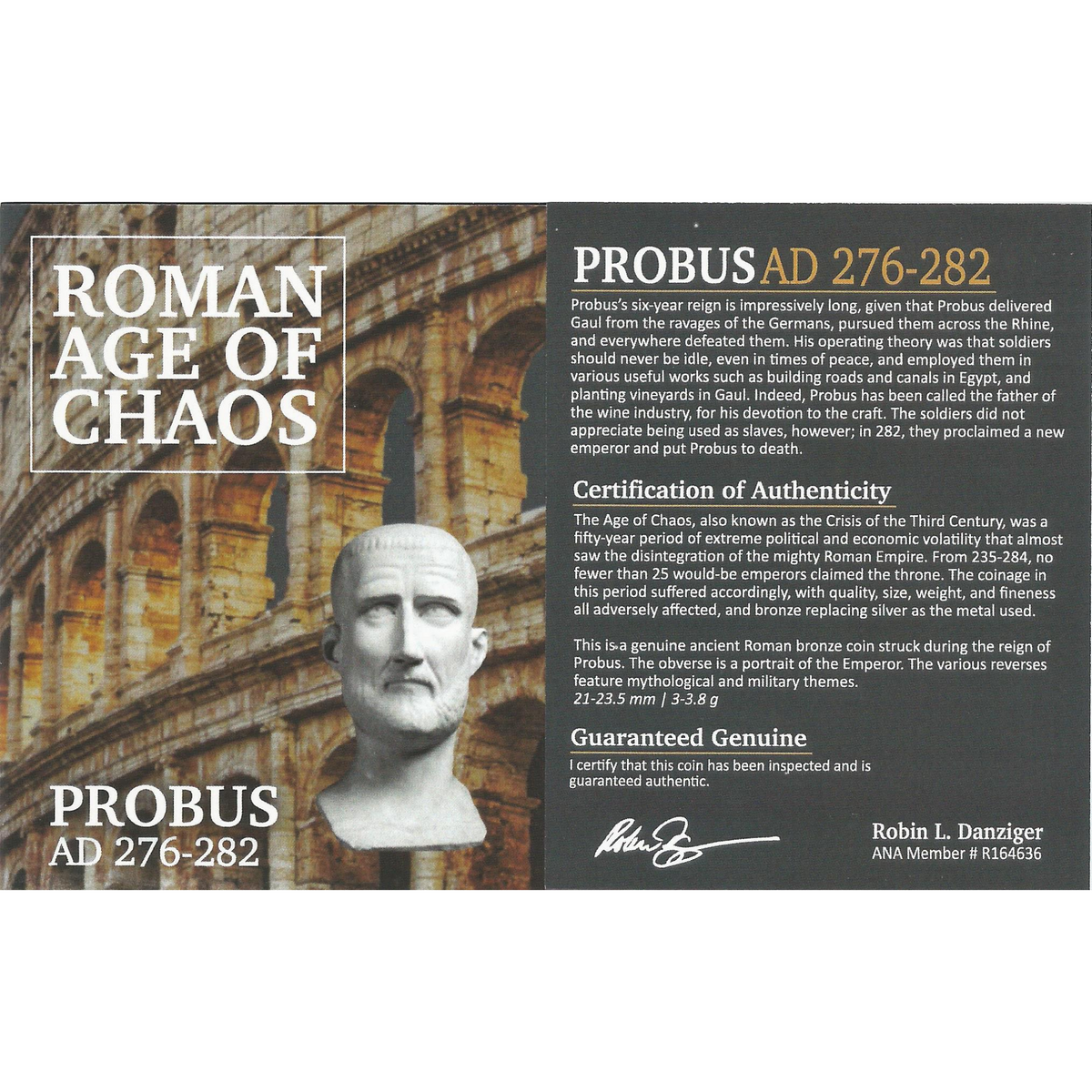 Roman AE Probus (AD 276-282) - NGC AU