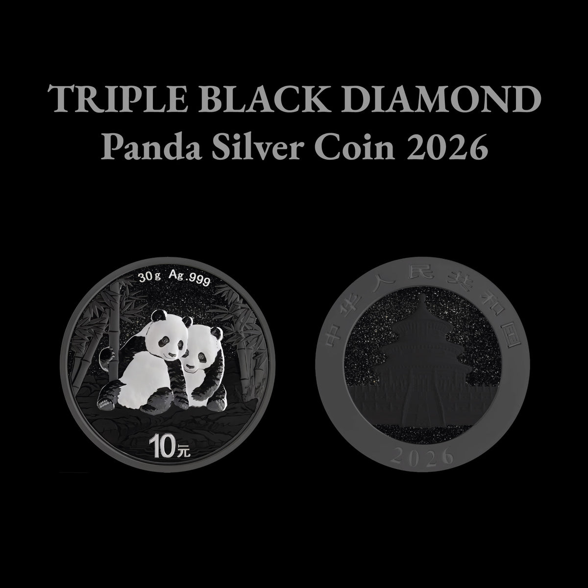 2026 China Panda Triple Black Diamond Edition 30g Silver Coin