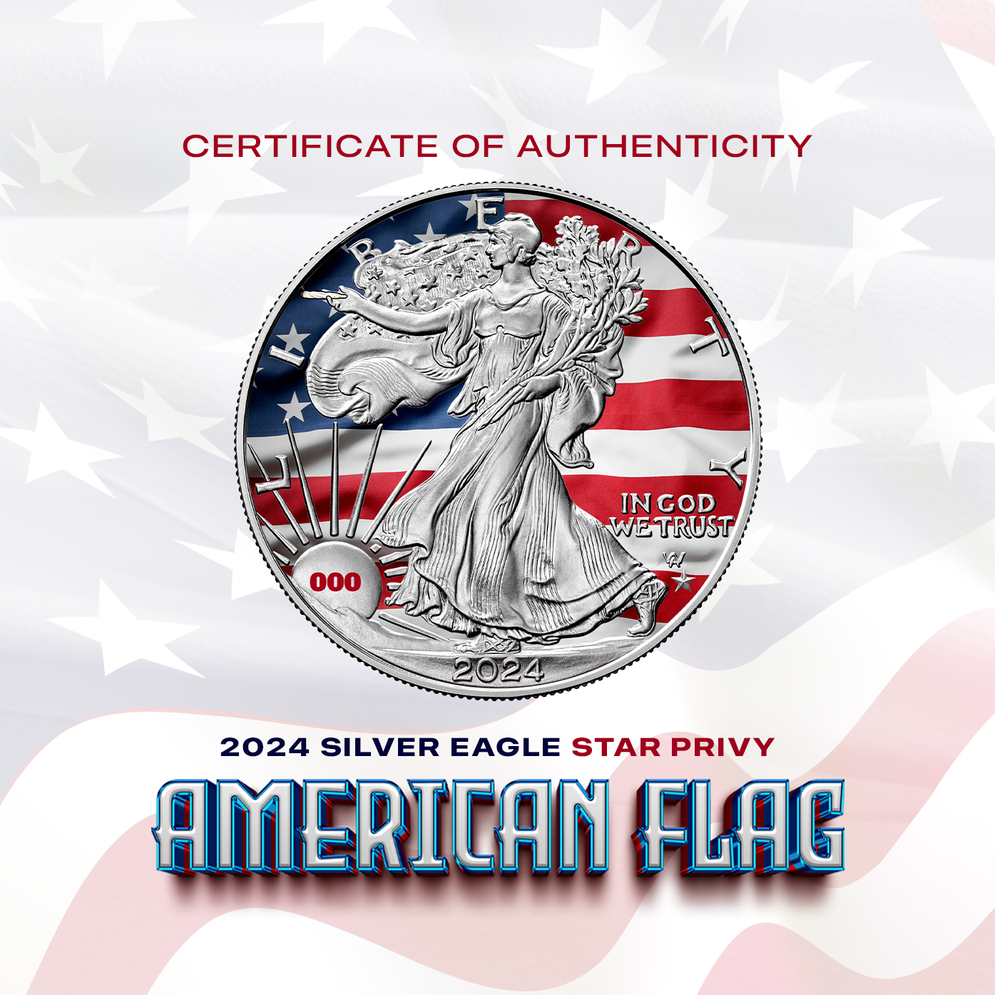 2024 American Flag Silver Eagle First Star Privy