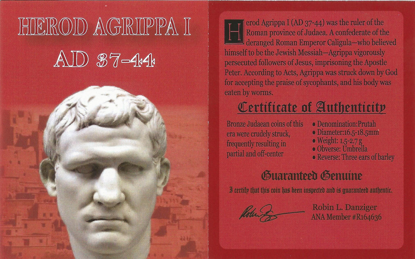 Judaea AE Agrippa 1st (AD 41-44) Prutah NGC(MG)