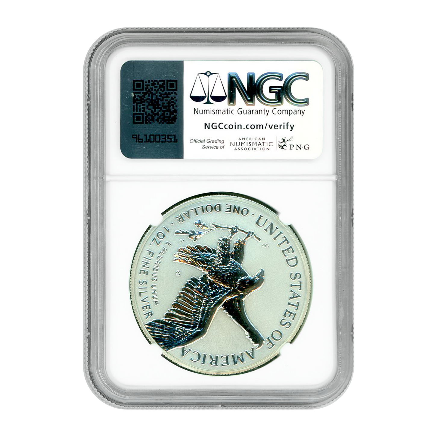2021 (W) Silver Eagle Designers Set - Eagle Landing - Type 2- NGCX Reverse Proof 10
