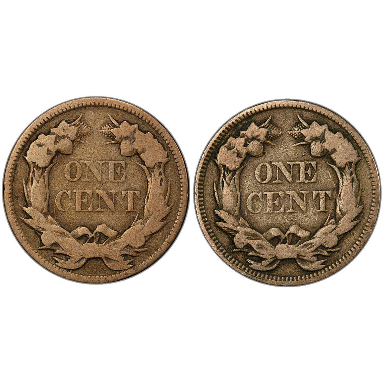 1857 & 1858 Flying Eagle 2pc Collection - CoinsTV