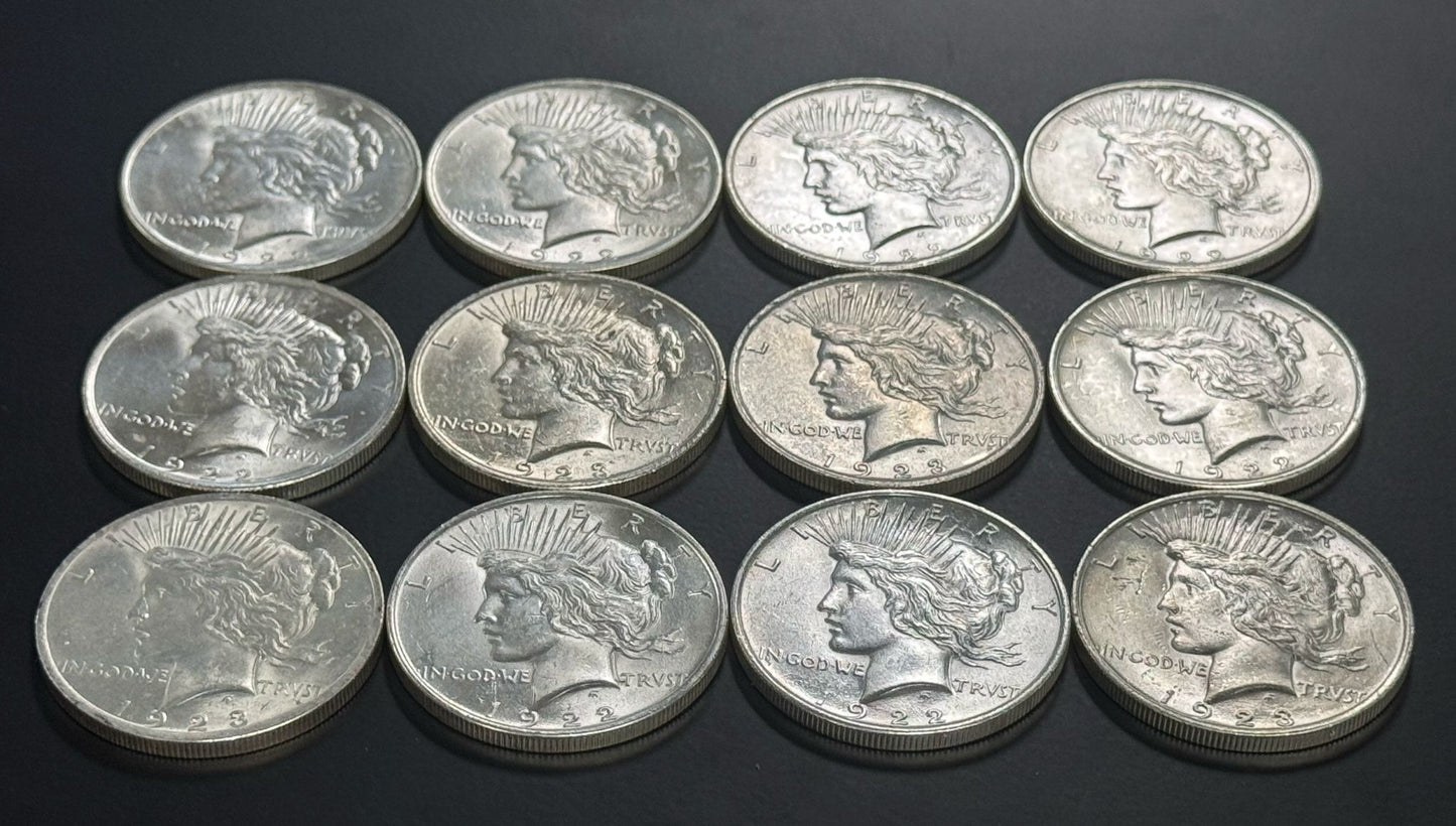 Peace Silver Dollar - Uncirculated - CoinsTV