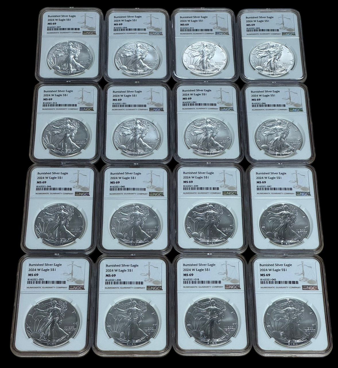 2024-W Burnished Silver Eagle NGC MS69 Brown Label - CoinsTV