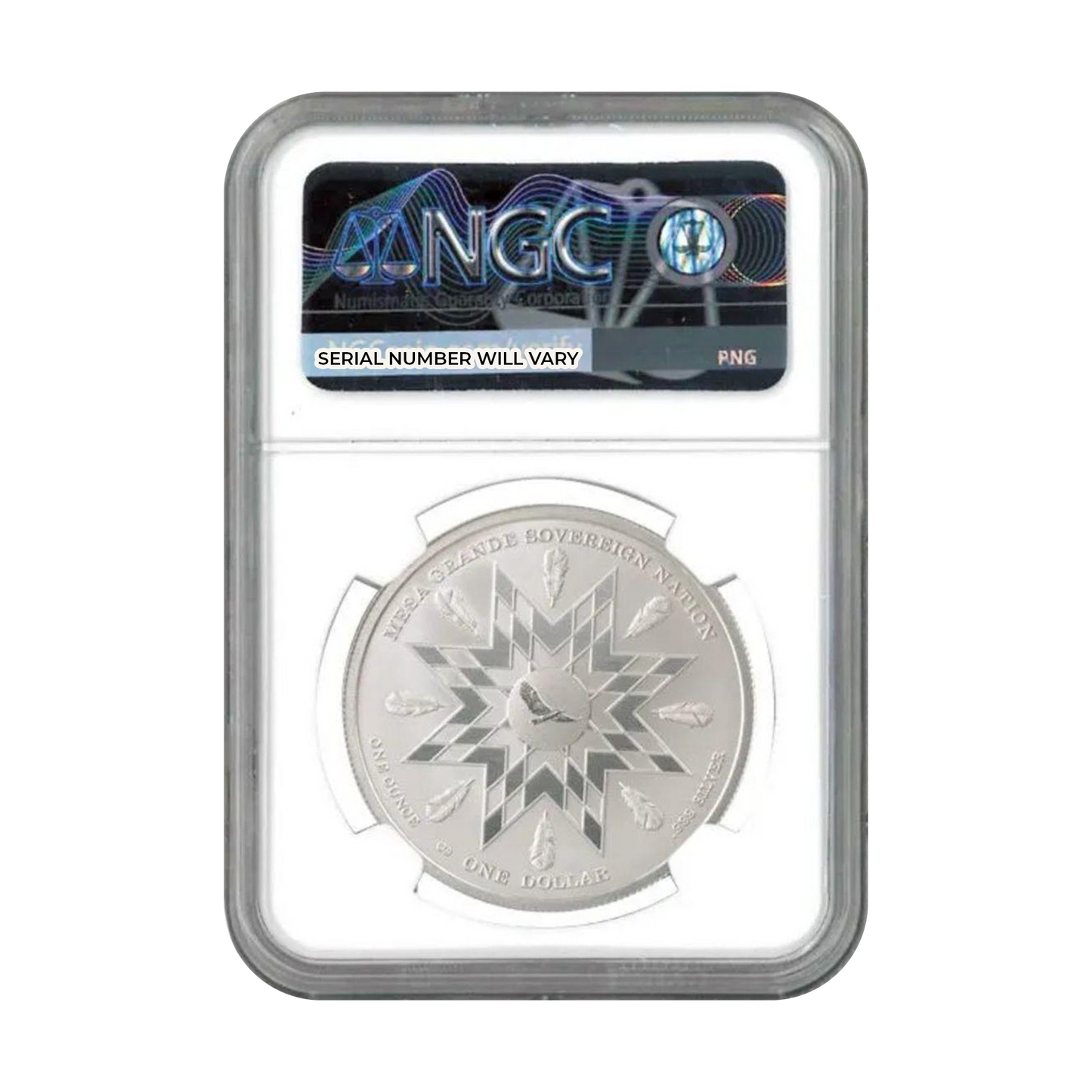 2025 American Plains Bison 1 oz Silver Mesa Grande - Free Spirits Label - NGC MS70 FR - CoinsTV