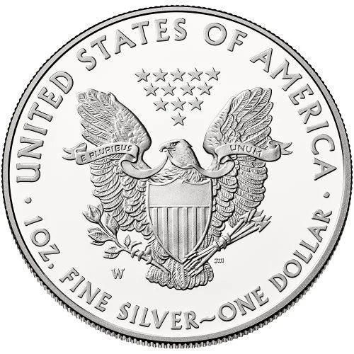 2008-W Burnished Silver Eagle with OGP & COA