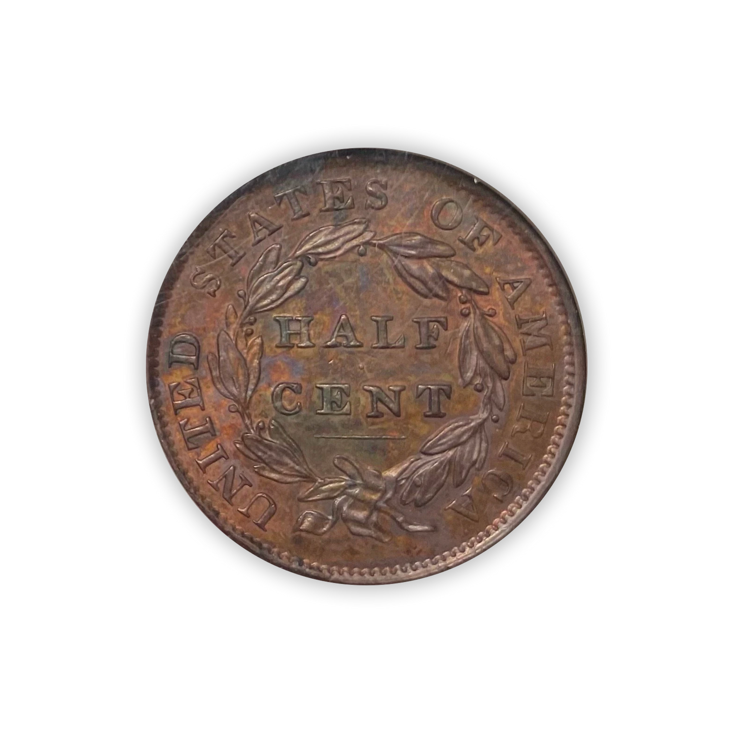 1833 Classic Head Half Cent - NGC MS61 BN