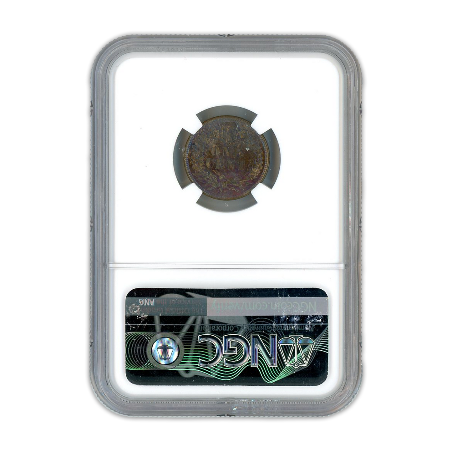 1900 Indian Cent NGC MS63 BN - CoinsTV