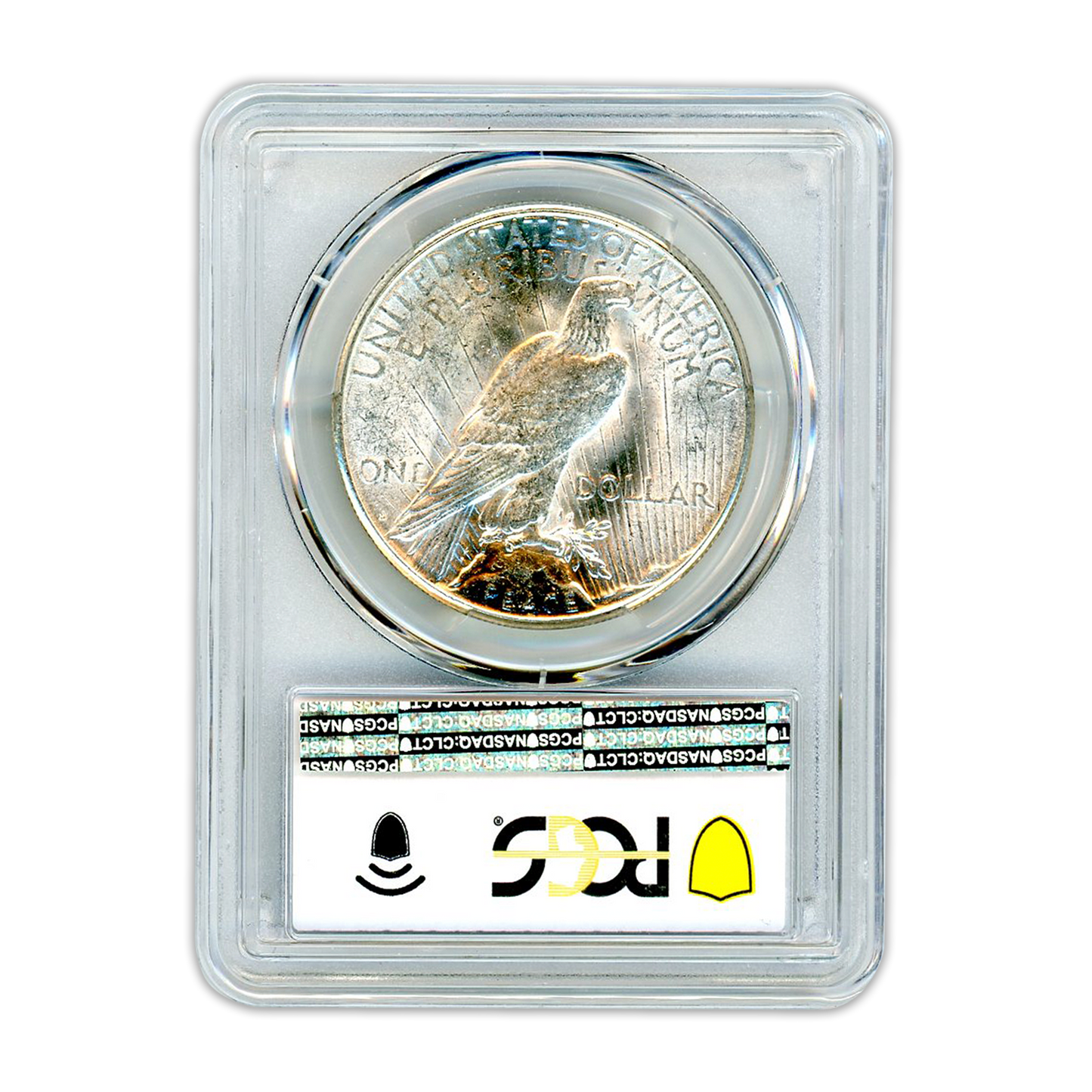 1923 Peace Silver Dollar San Fransico - PCGS MS61 - CoinsTV