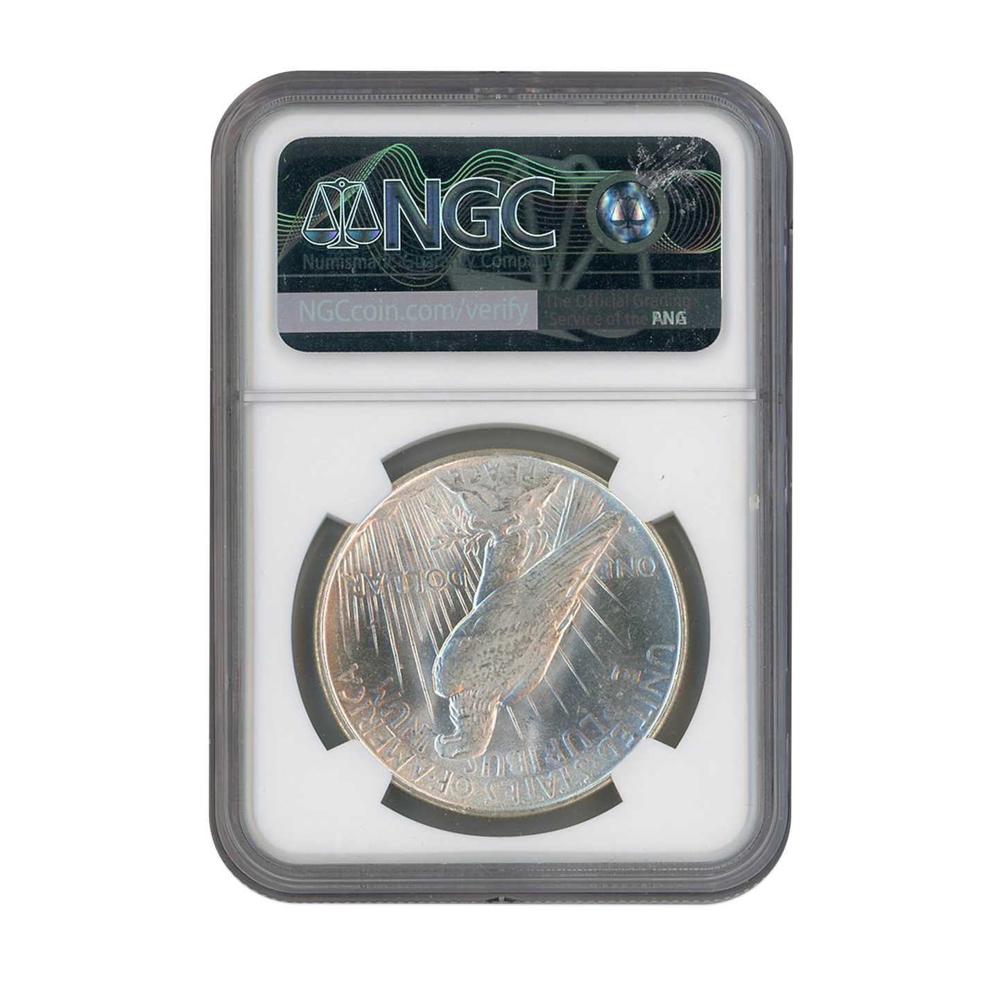 1923 D Peace Silver Dollar Denver NGC MS62 - CoinsTV
