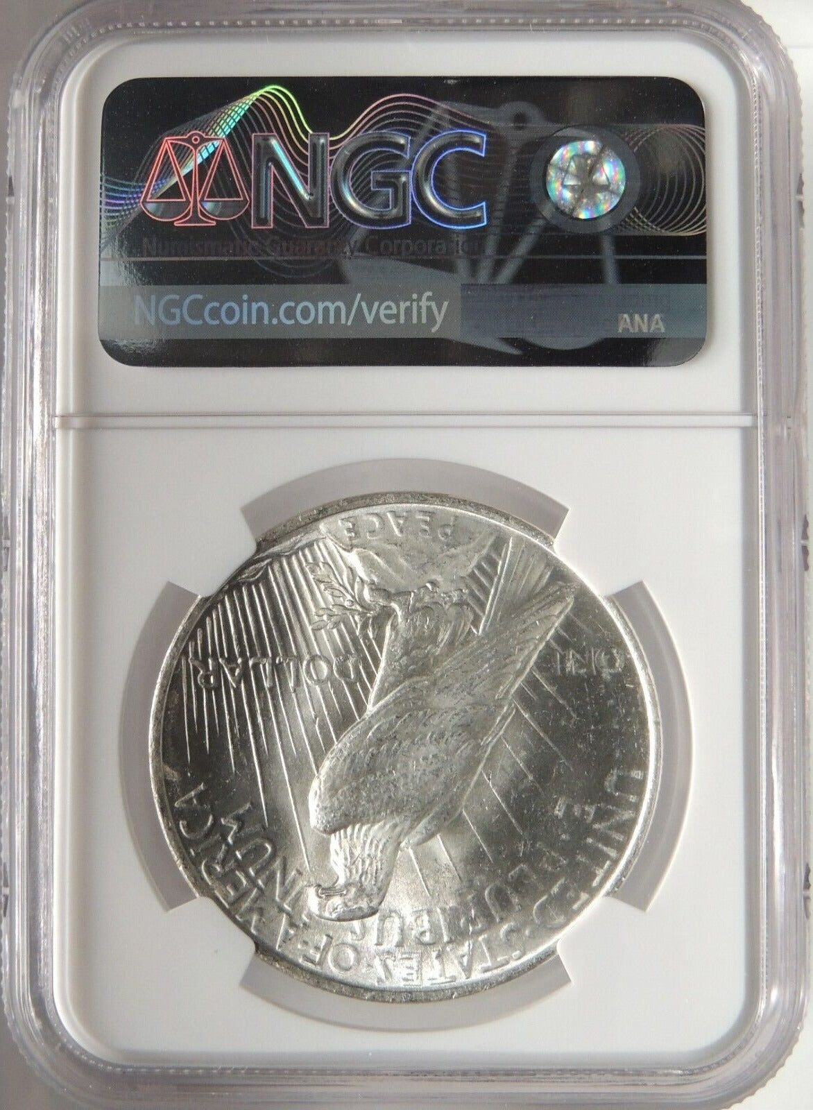 1922 Peace Dollar- NGC MS62 - CoinsTV