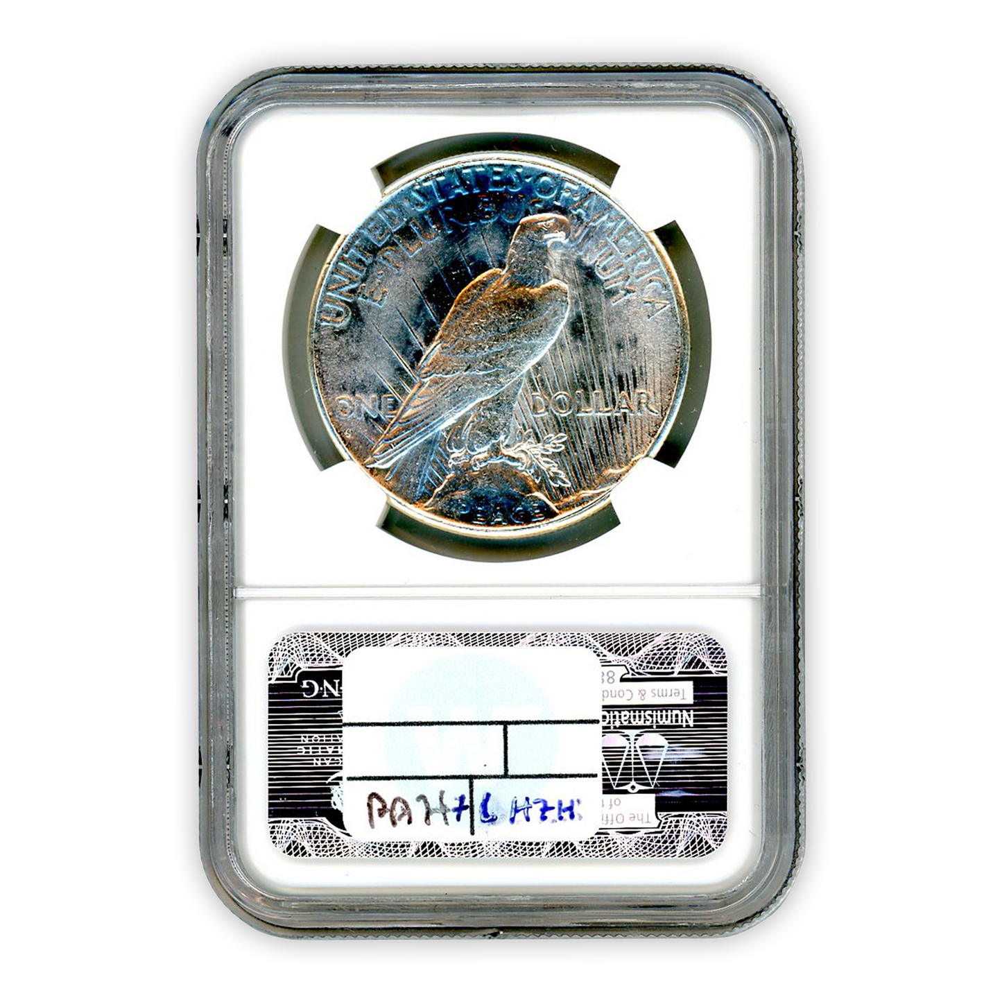 1928-S Silver Peace Dollar San Francisco NGC MS64 Sight White - CoinsTV