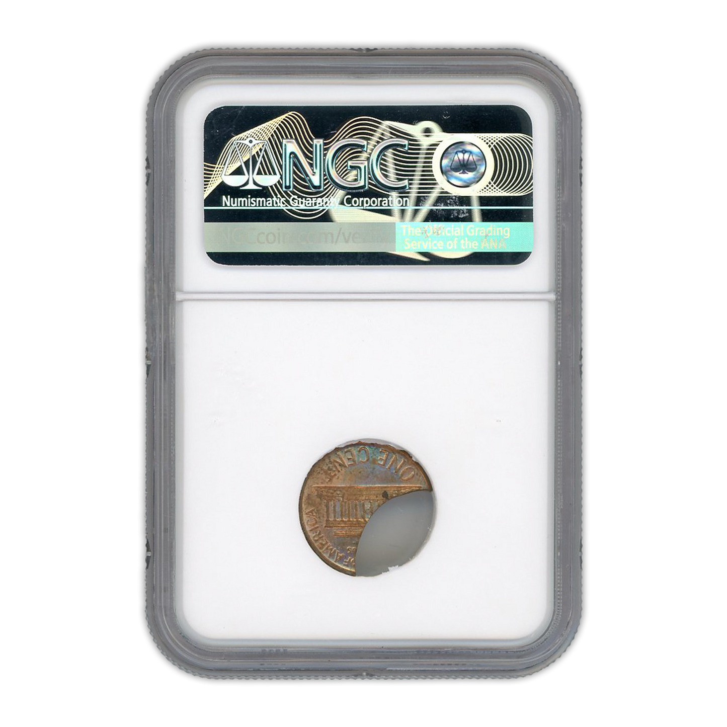 1966 Lincoln Cent Broadstruck On 40% Curved Clip - Mint Error NGC MS63 RD - CoinsTV