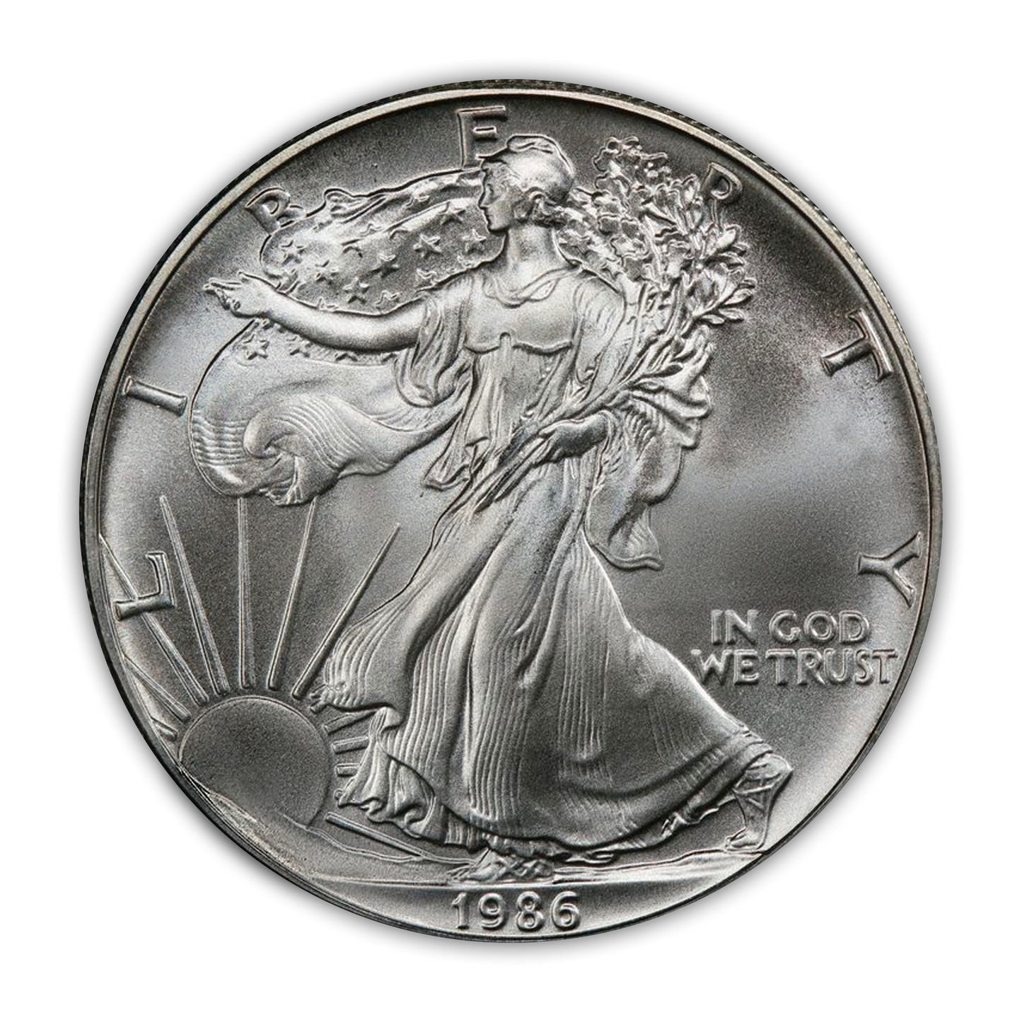 1986 - 2021 Silver Eagle Type 1 35 Coin Uncirculated Set - Premium Collectors Vista Album - CoinsTV