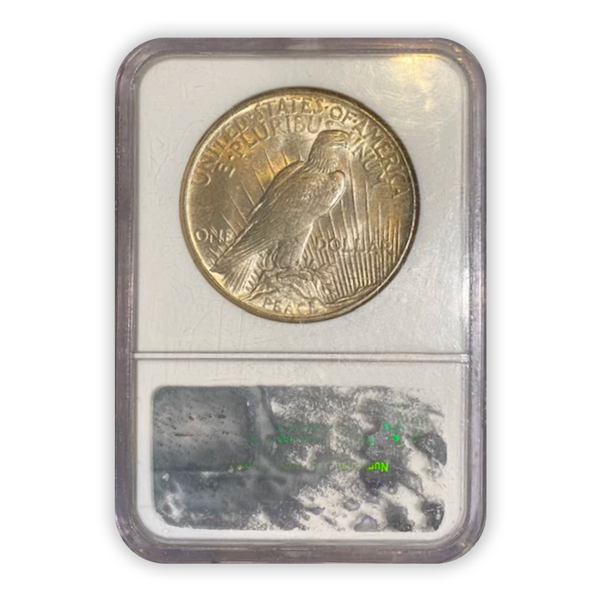 1921 Peace Silver Dollar Philadelphia - NGC MS62 Natural Toning - CoinsTV