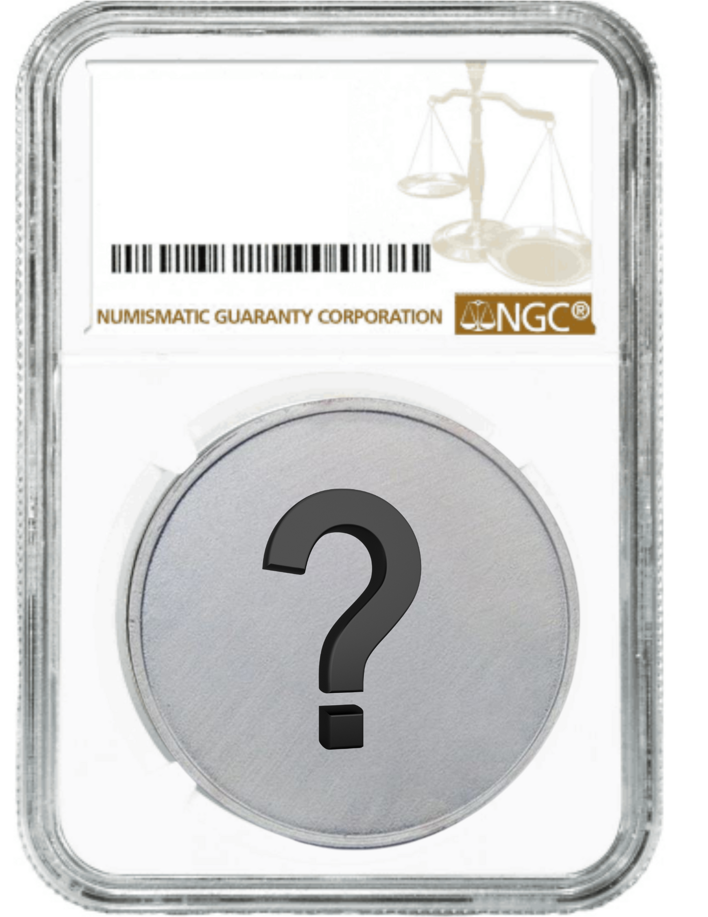 NGC 69 Silver Dollar Grab Bag - CoinsTV