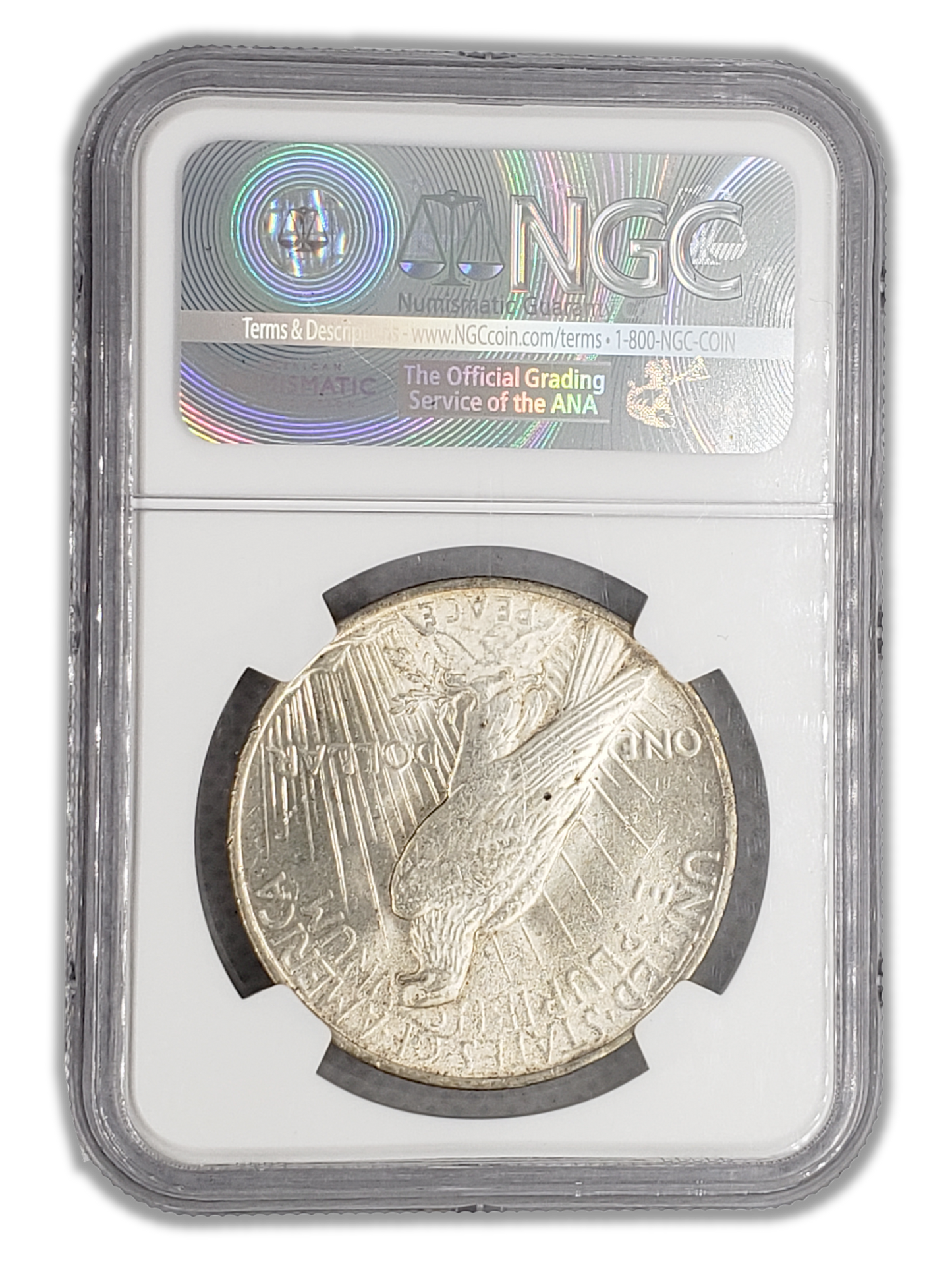 1922 Peace Silver Dollar Philadelphia - NCG AU58 Extra Hair - CoinsTV