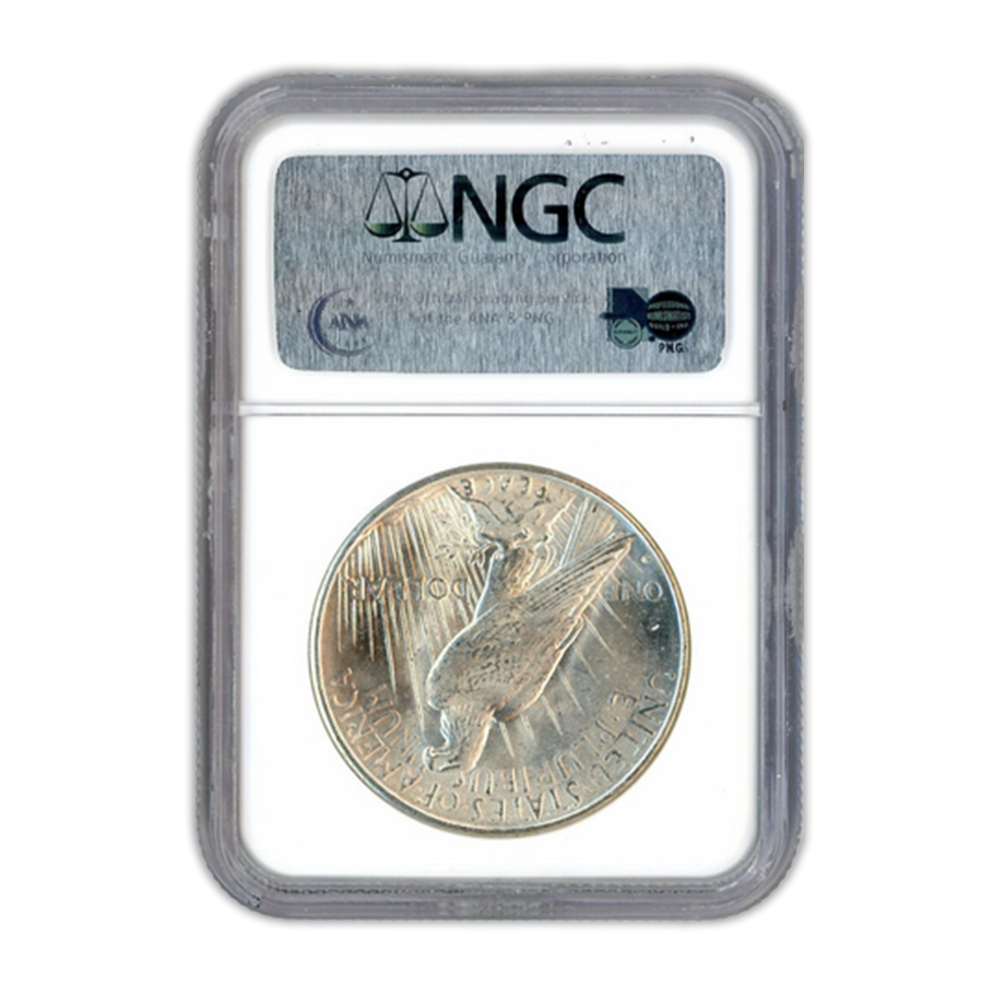 1934-D Peace Silver Dollar Denver - Great Falls Collection - NGC MS63 Sight White - CoinsTV