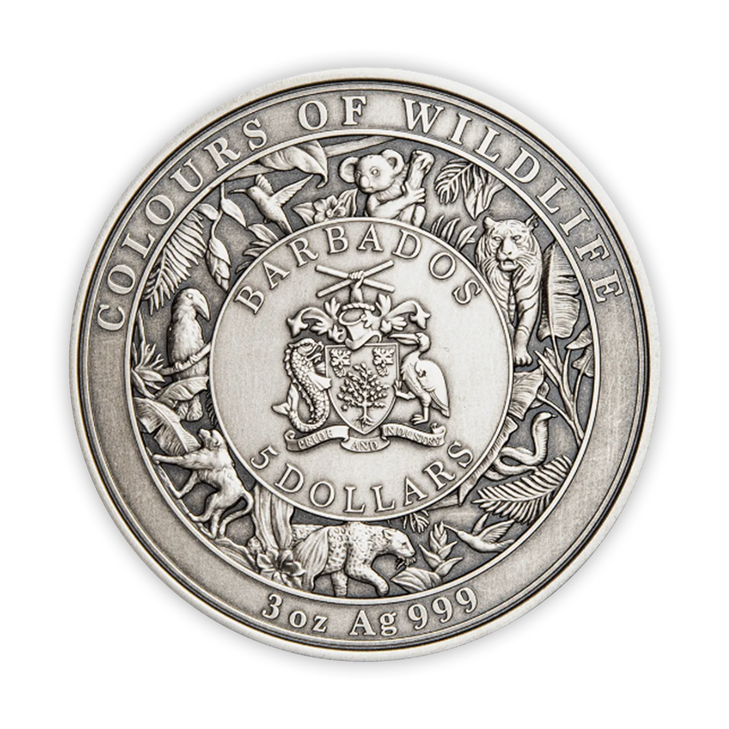 2022 3oz Silver Colours of Wildlife Koala Coin - CoinsTV