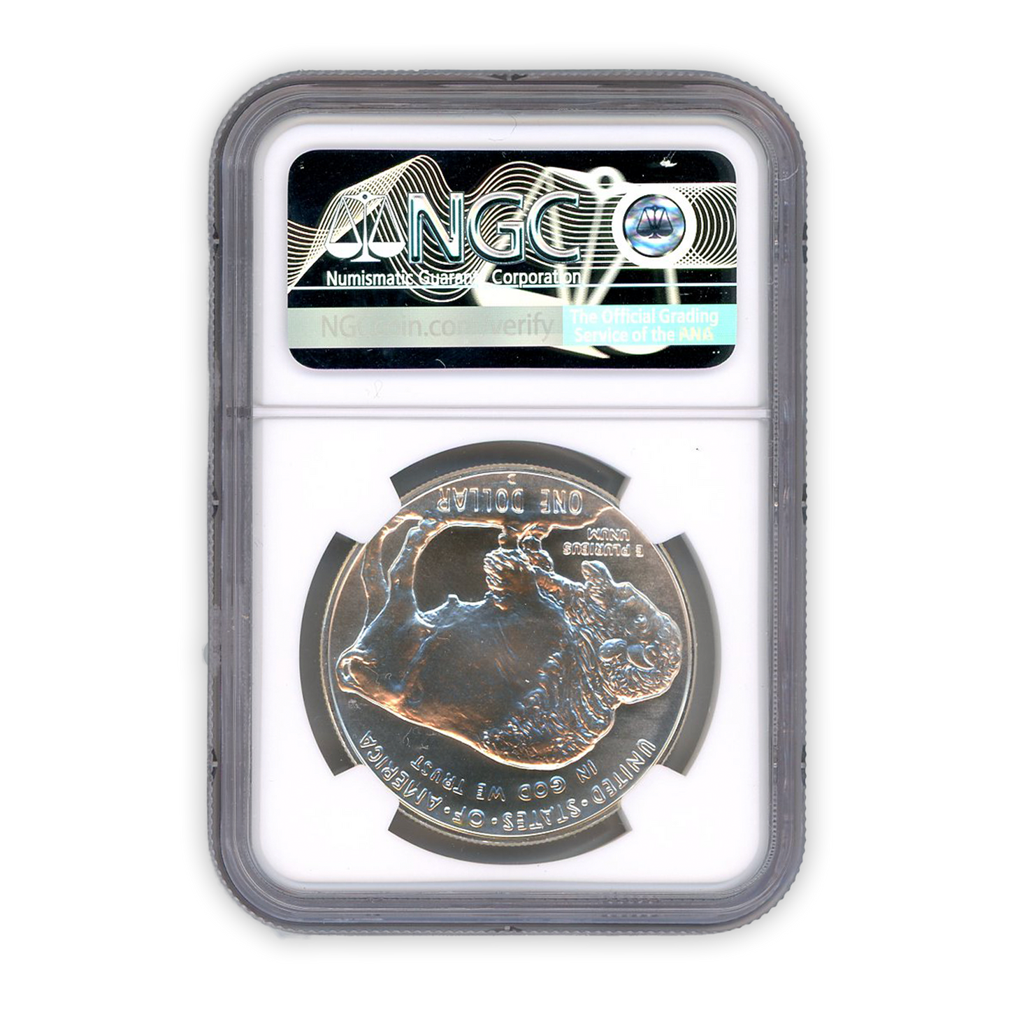 2001 P Buffalo Silver Dollar Philadelphia NGC PF69 Ultra Cameo - CoinsTV