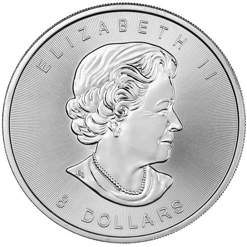 $8 Canadian Silver Bison 1.25 oz - Royal Canadian Mint (Random Year) - CoinsTV