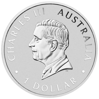 2024 Australian Brumby Horse Colorized 1 oz Silver Coin - CoinsTV