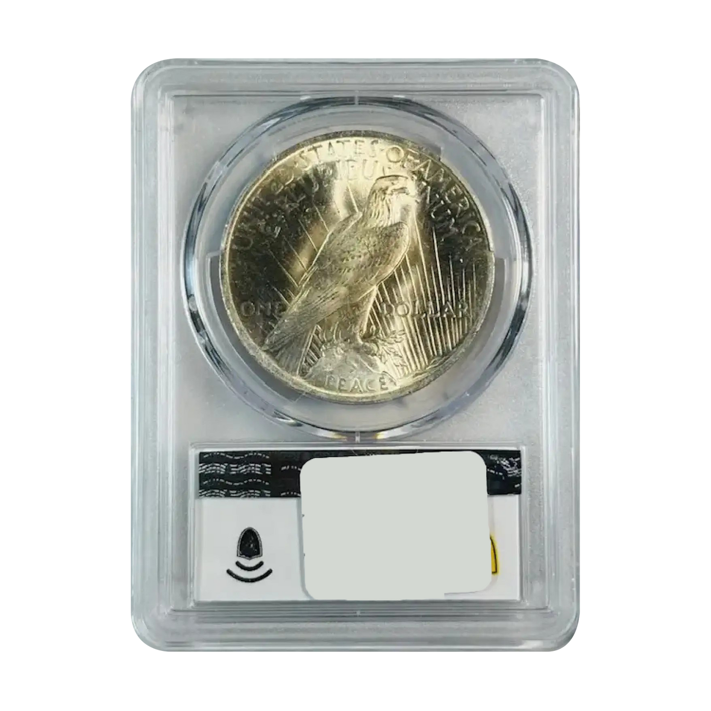 1923 Peace Dollar VAM 1V Extra Hair Elite 30 - PCGS MS65 CAC - CoinsTV
