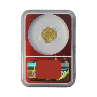 CoinsTV Blowout Box Series 20