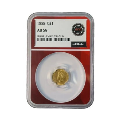 CoinsTV Blowout Box Series 20