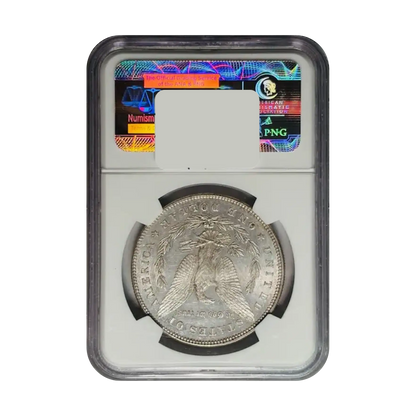 1878 Morgan Silver Dollar HOT-50 VAM-79 Disconnected Leaf - NGC MS60 PL