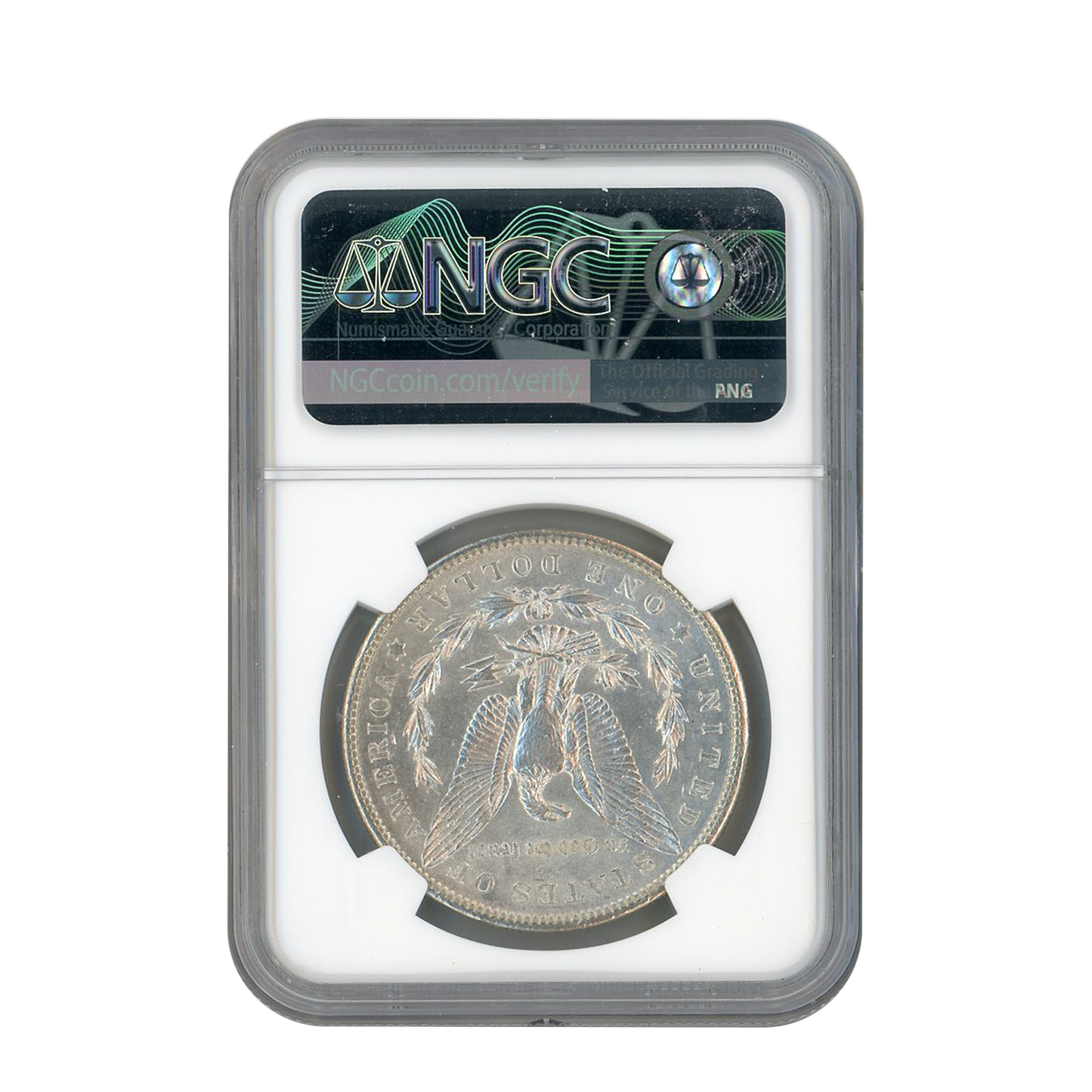 CoinsTV Blowout Box Series 19