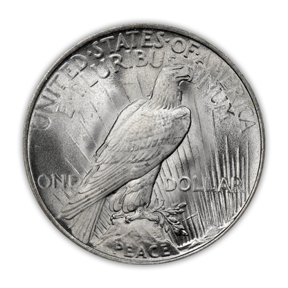 1924 Peace Silver Dollar Philadelphia - Brilliant Uncirculated