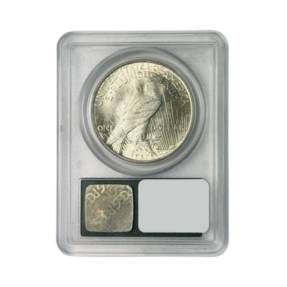 1923 Peace Silver Dollar - PCGS MS65 Sight White OGH