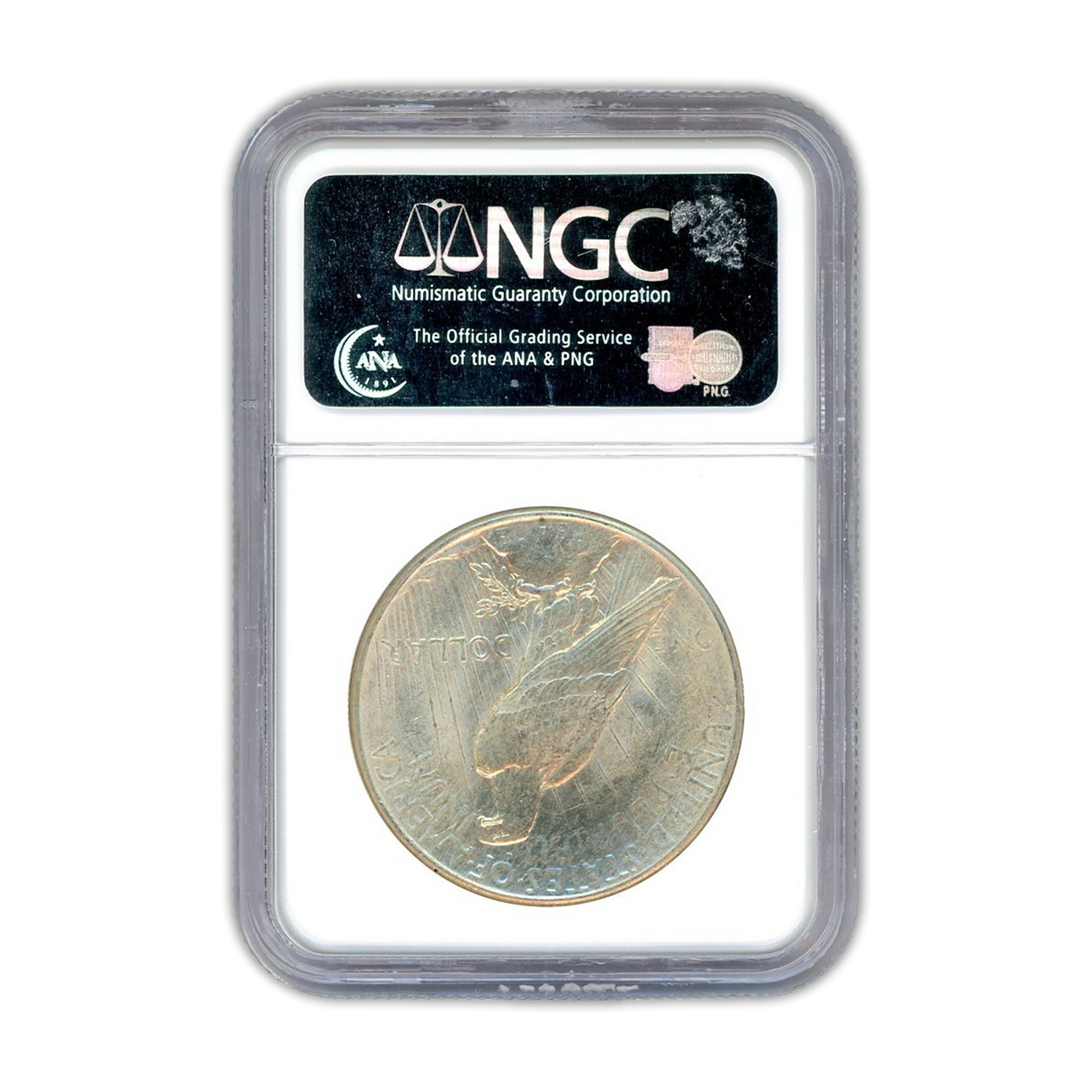 1925 Peace Silver Dollar Philadelphia  - NGC MS64 - CoinsTV